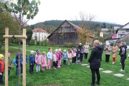 Posaditev  rožnatega drevesa v Pocinovem vrtu 11 Foto Ljubo Vukelič